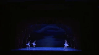 Swan Lake Act 2 Big Swans