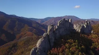 Парк Драконов с воздуха (Чистоводное, Приморский край)