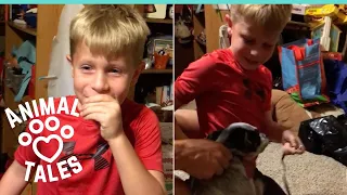 Boy Surprised With New Puppy After Having No One To Play With
