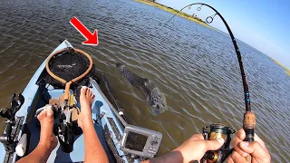 I HOOKED A MASSIVE ALLIGATOR ON MY KAYAK