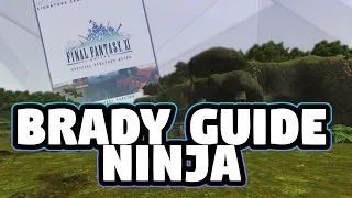 FFXI Ninja - Brady Games Guide!
