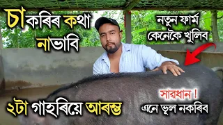 Pig Farming in Assam || Assam Pig Farm || ২টা গাহৰি পুহি আজি লাখপতি এইজন যুৱক