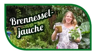 Brennesseljauche herstellen, ansetzen🌱 Unser Spezialrezept 🌱 Brennnesseljauche Bester Dünger