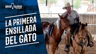 Primera ensillada de "El Gato"