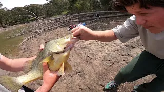 Sugarloaf Reservoir Yellowbelly, Redfin, Roach & Carp