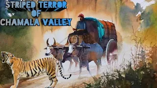 Striped Terror Of Chamala Valley | Kenneth Anderson Hunting Story | Man Eater Of Chamala Valley