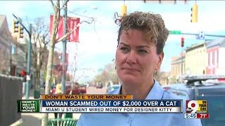 Student scammed out of $2,000 over designer kitten