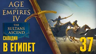 В Египет 🏰 Прохождение Age of Empires 4 #37 [Восхождение султанов: Саладин]