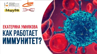 Как работает иммунитет? Екатерина Умнякова