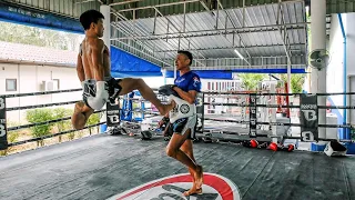 Master the Teep / Push Kick with Lerdsila #phukettopteam