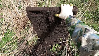 До обеда слёзы, после как попёрло...    МЕТАЛЛО КОП