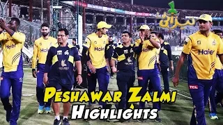 All Peshawar Matches | Funny Totay | Tezabi Totay | HBL PSL 2018|M1F1