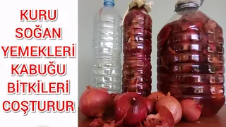 Soğan Kabuklarını Sakın Atmayın, Bitkileri Coşturun