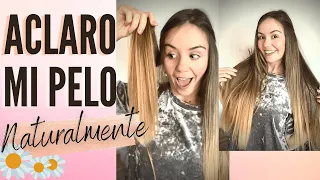 Aclarar el Pelo NATURALMENTE 🌿Descubre como ACLARAR EL CABELLO de forma natural