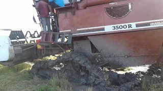 Extreme rice harvesting combine| Laverda fiatagri 3500 R combine | Combine strugeling in mud