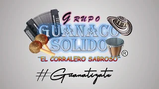 Grupo Guanaco Sólido® / Mix Mosaicos Guanaco (Audio) #Guanatizate #Tendencia