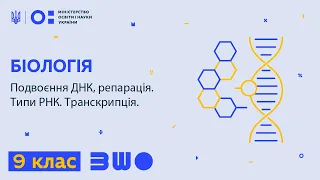 9 клас. Біологія. Подвоєння ДНК; репарація. Типи РНК. Транскрипція.