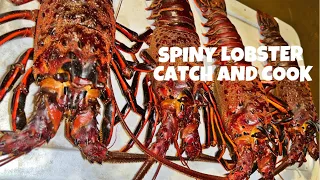 Southern California Spiny Lobster (Freediving, Catch, Clean and Cook)