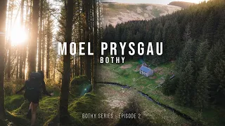 We spent the night in the middle of a forest in Wales - Moel Prysgau Bothy