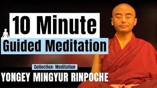 10 Minute Guided Meditation for Beginners on Awareness - Yongey Mingyur Rinpoche | LSE 2018【C:M Ep5】