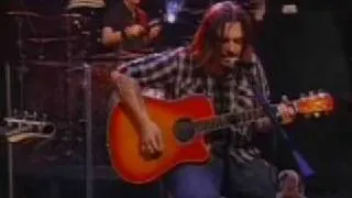 Seether - The Needle And The Damage Done