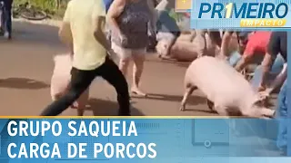 Carga de porcos cai e população local saqueia animais vivos | Primeiro impacto (04/06/24)