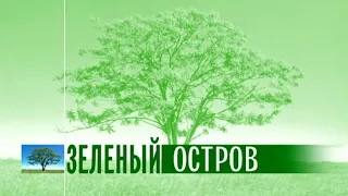 Зелёный остров. Эфир: 23-08-2022