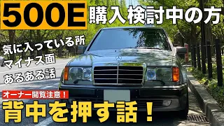 【グレード選び】W124ベンツ500E購入検討者の背中を押す動画【ポルシェライン】