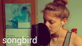 Songbird - Fleetwood Mac // 24 days of covers - DAY 17