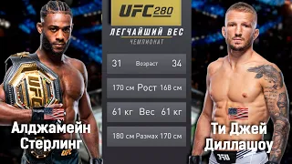 Алджамейн Стерлинг vs Ти Джей Диллашоу / Симуляция боя к UFC 280