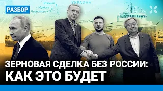 Зерновая сделка без России: что планируют Эрдоган и Зеленский