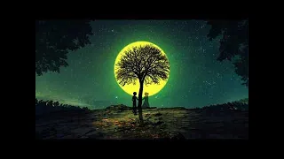 Alan Walker Mix - Love Tree Night