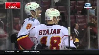 Flames @ Panthers Highlights 11/10/15