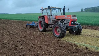 Robię Żyto w Bele Awaria Żółtej 60 Oraz Uprawa Pod Następna Rośline Spadł Długo Wyczekiwany Deszcz