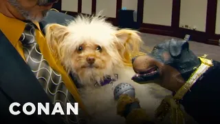 Triumph The Insult Comic Dog Hits The Golden Collar Awards | CONAN on TBS