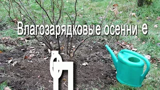 Влагозарядковые осенние поливы