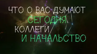 👏 ЧТО О ВАС ДУМАЮТ СЕГОДНЯ КОЛЛЕГИ И НАЧАЛЬСТВО? 👏 /Таро онлайн/Расклад таро/Гадание онлайн