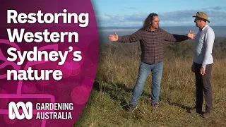 A crucial native regeneration project improving Western Sydney | Discovery | Gardening Australia