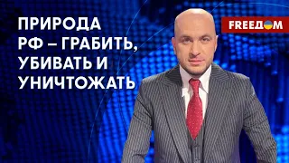 Гаага будет судить высшее руководство Кремля за преступления в Украине. Анализ адвоката