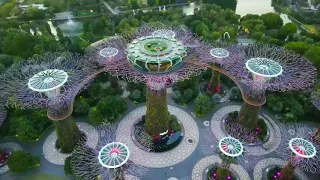 Garden By The Bay, Singapore by DJI MAVIC AIR 2