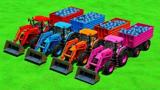 LOAD & TRANSPORT BLUEBERRIES WITH JOHN DEERE TRACTORS - Farming Simulator 22
