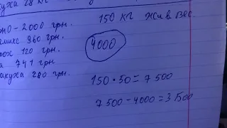 В Чехию больше не поеду! Прибыль с одной свиньи за 7 месяцев откорма!!!Главное правильно считать!!!