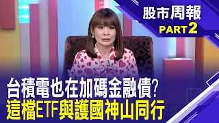 台積電財報揭露 4月加碼2.4億美元金融債 散戶如何打早ETF與護國神山同行?│股市周報*曾鐘玉20240505-2(王文良)@ustvbiz