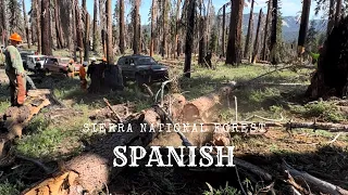 OPENING UP SPANISH OHV TRAIL SIERRA NATIONAL FOREST