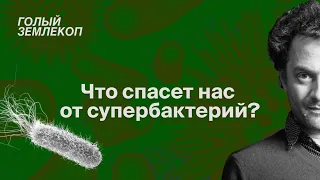 Как древние люди помогают искать новые антибиотики | Илья Колмановский, подкаст «Голый землекоп»