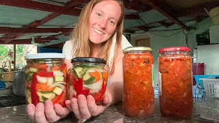 🥫¿Cómo conservo VERDURAS por AÑOS? Mi marido SE VA a VENDER a 1 RESTAURANTE los calabacines