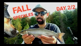 Brook Trout Fishing - Ontario Crown Land Camping and Offroading