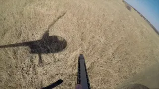 Denison Heli Hog Hunt