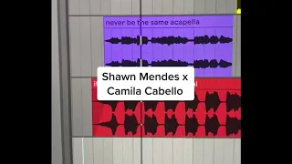 Shawn Mendes x Camila Cabello (Carneyval Mashup)