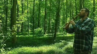 Playing for the forest.🌳💚🙏   Sounds the flute  in G